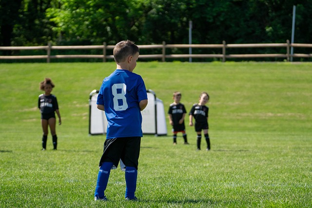 还增加了比 还增加了比